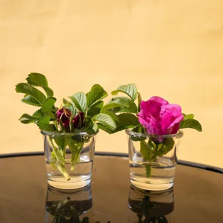 Apartment Parkvejens Feriebolig *