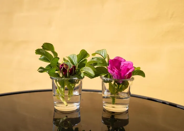 Apartman Parkvejens Feriebolig *